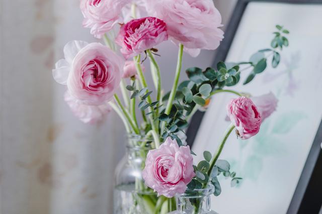 花菖蒲的花语是什么？花菖蒲和菖蒲花的区别是什么？